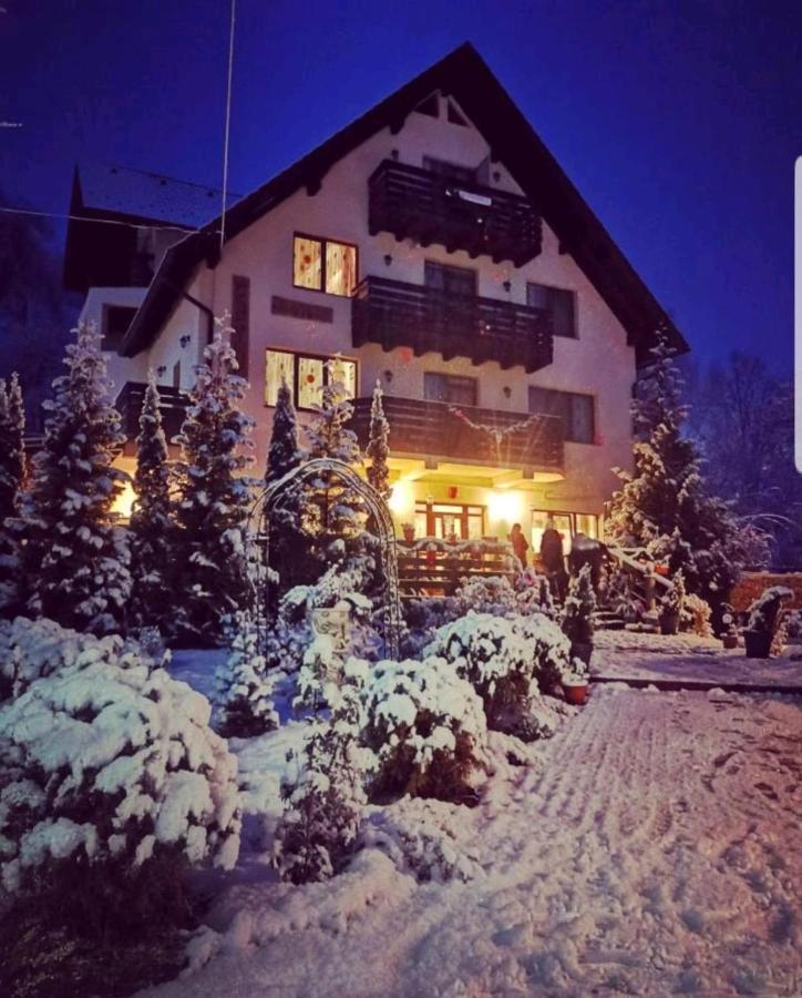 Casa Daniel Bran (Brasov) Exterior foto